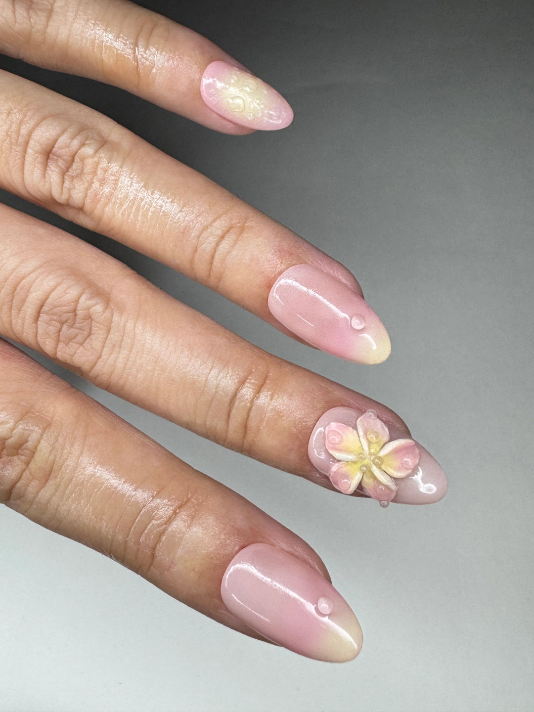 frangipani