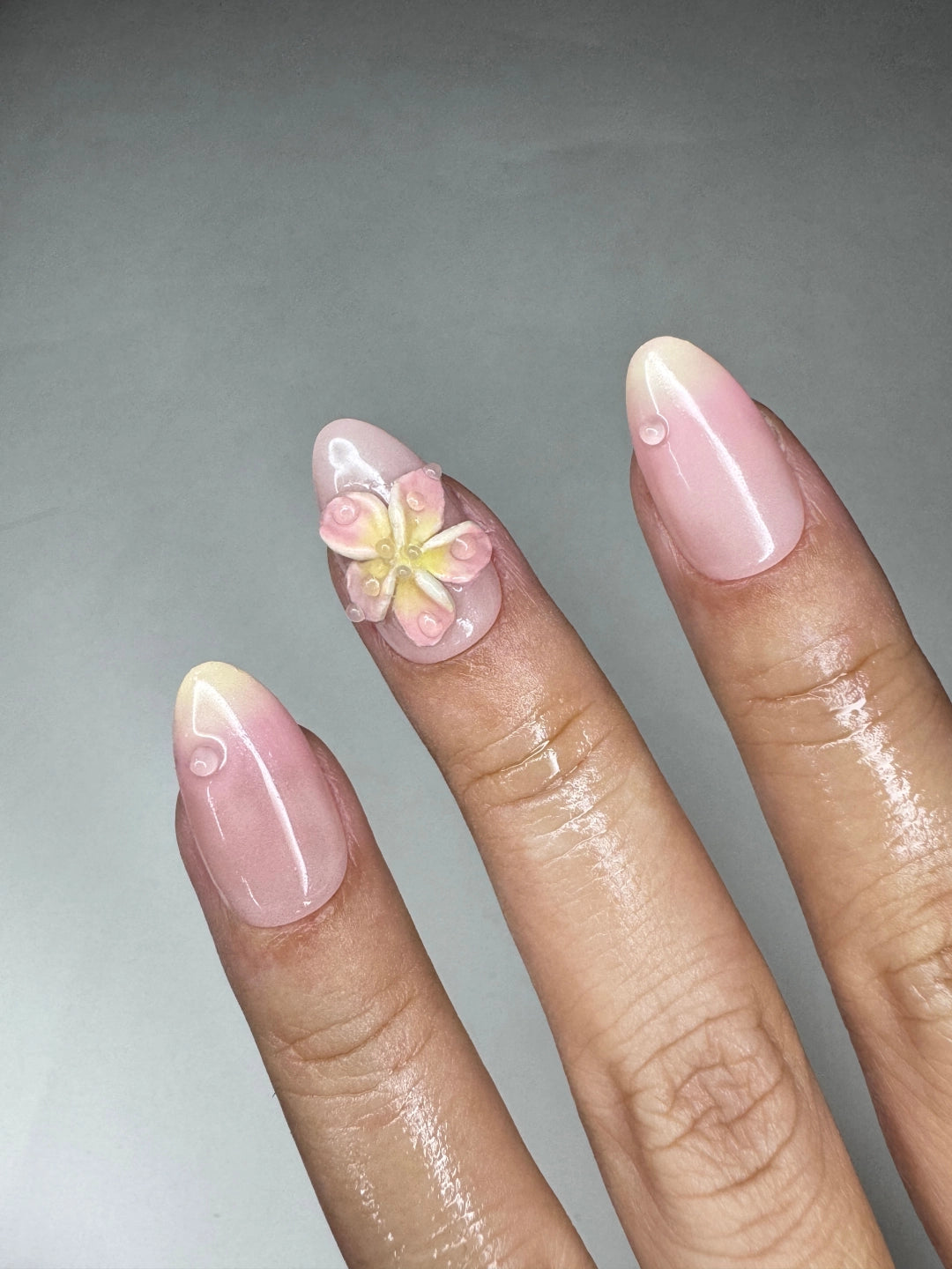 frangipani
