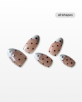 midnight polka