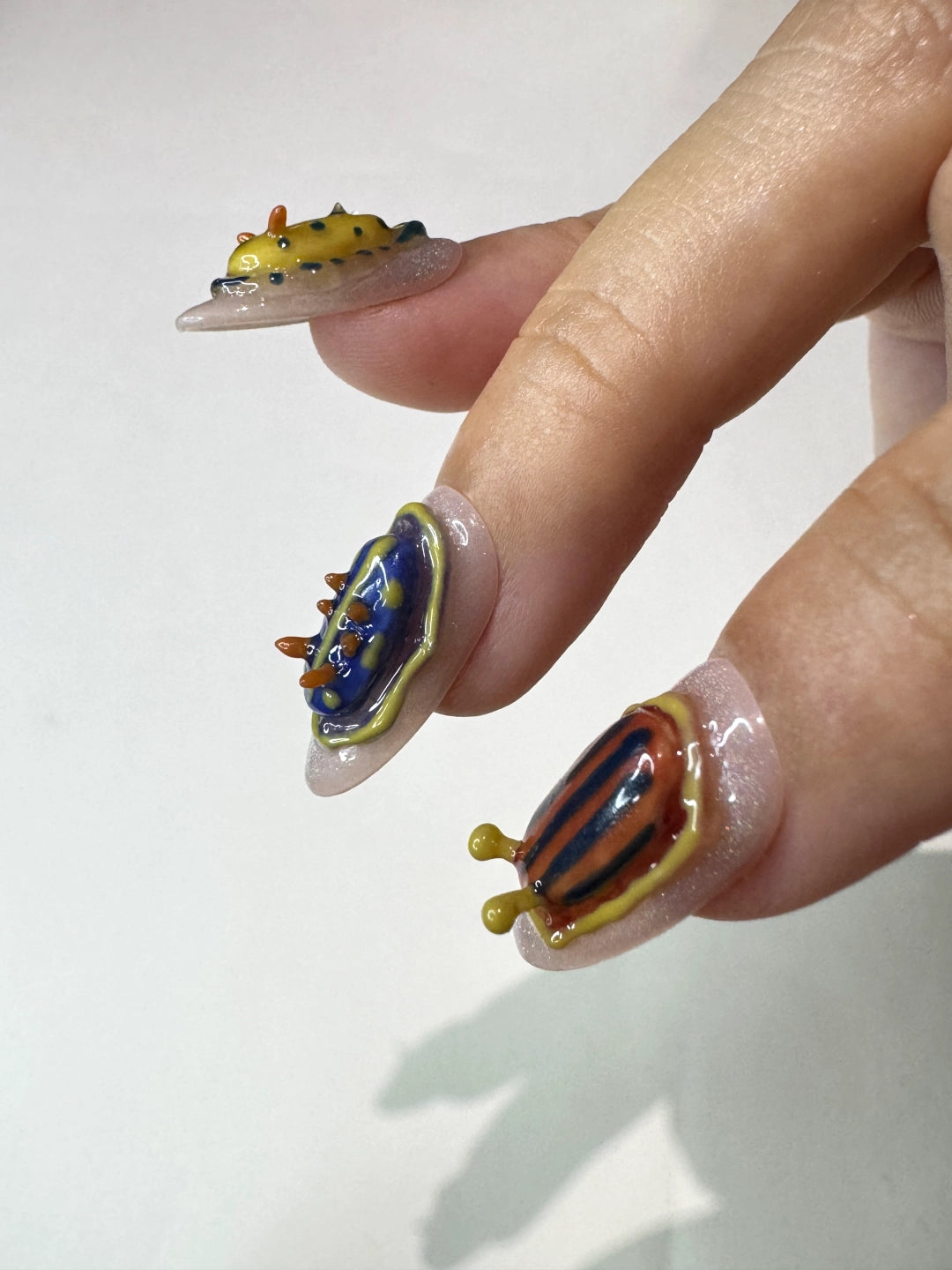 sea slug