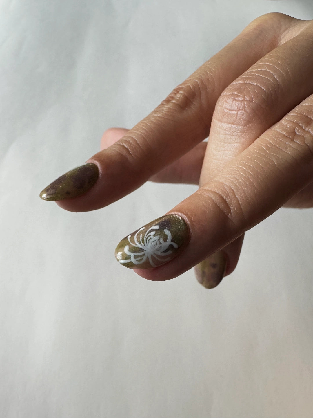 silver chrysanthemum